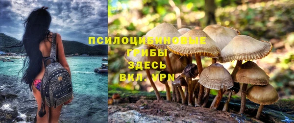 прущая мука Коряжма