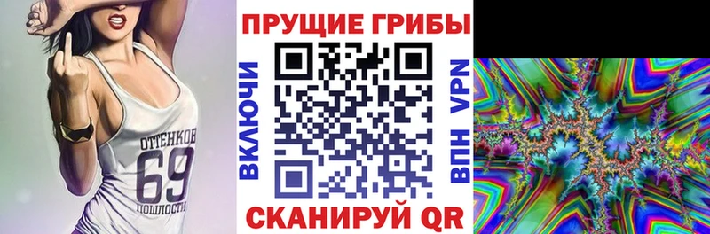 наркотики  Называевск  kraken сайт  Галлюциногенные грибы Magic Shrooms 